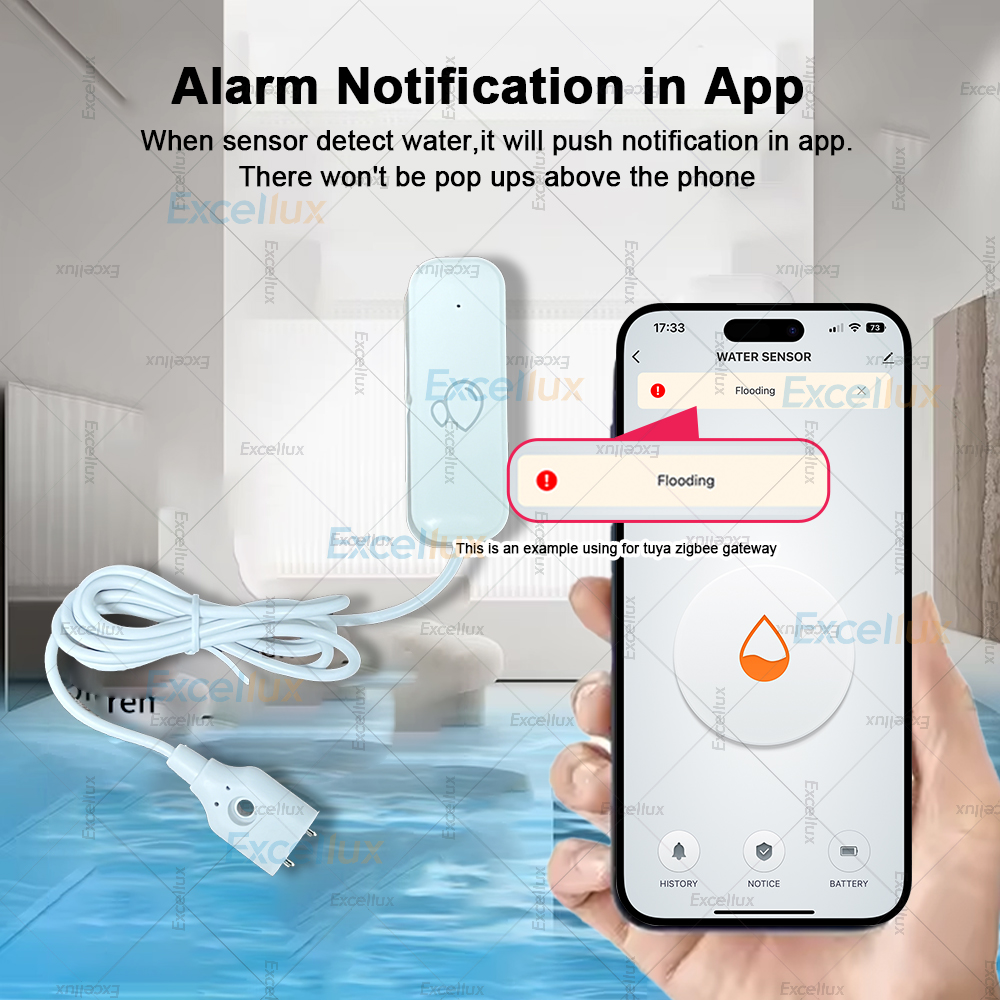 Zigbee Smart Water Leak Sensor - Water Alarm Sensor 评论和价格