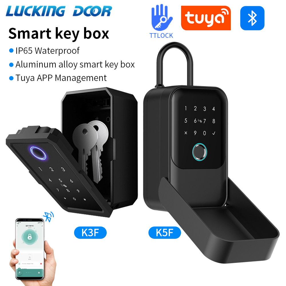Tuya Smart Life App or TTLock  - Lockbox Key Secure 评论和价格